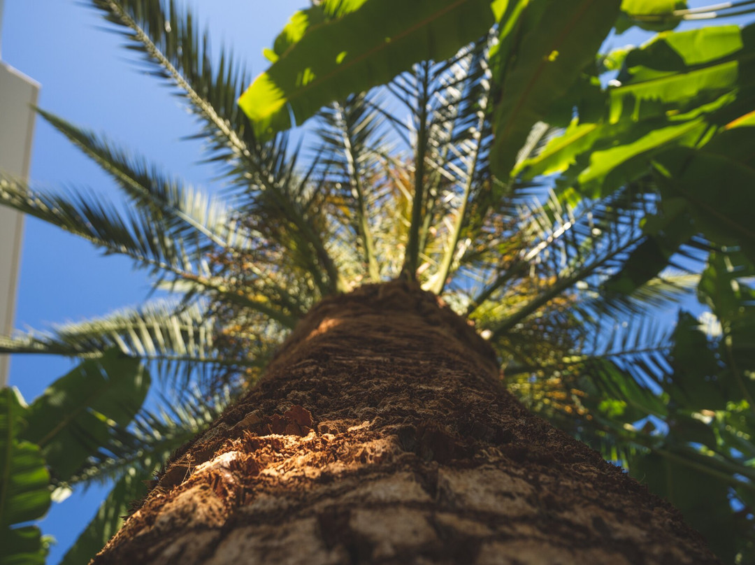 Helios Apartments主图