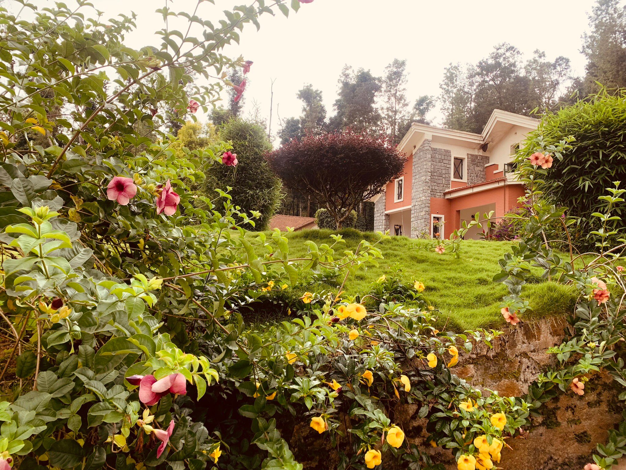 Watehalli Homestay-官方