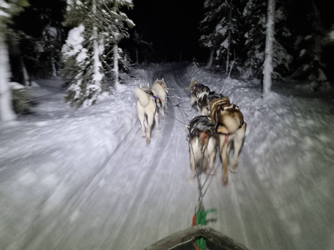 Lapland Hotel Olos主图