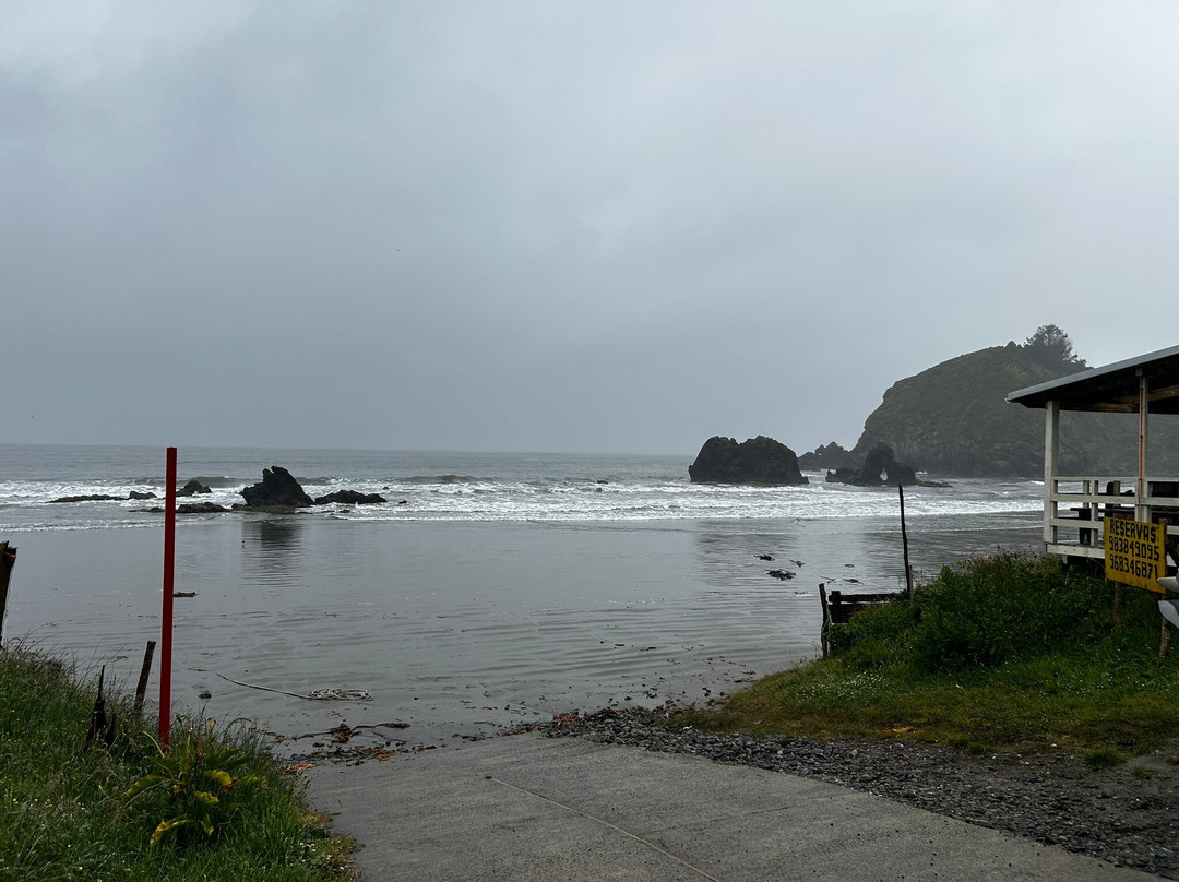 Islotes de Punihuil-奇洛埃岛必去景点