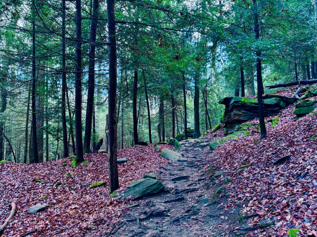 Ledges Overlook-Peninsula必去景点