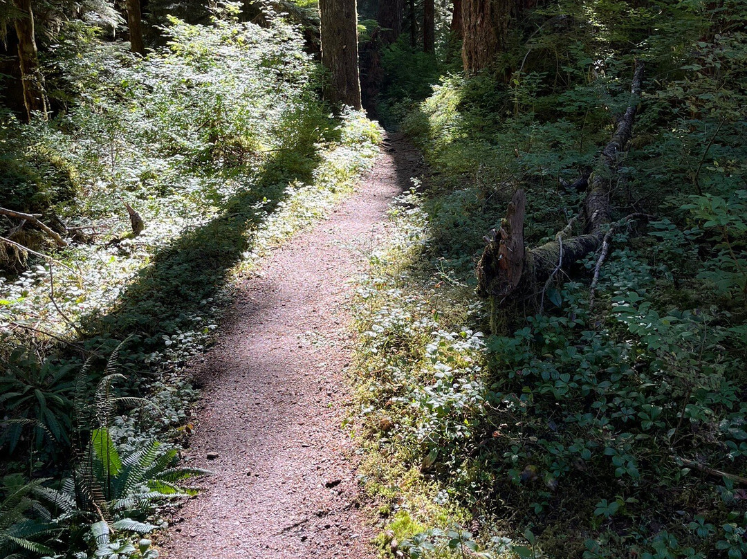 Sol Duc Falls景点图片