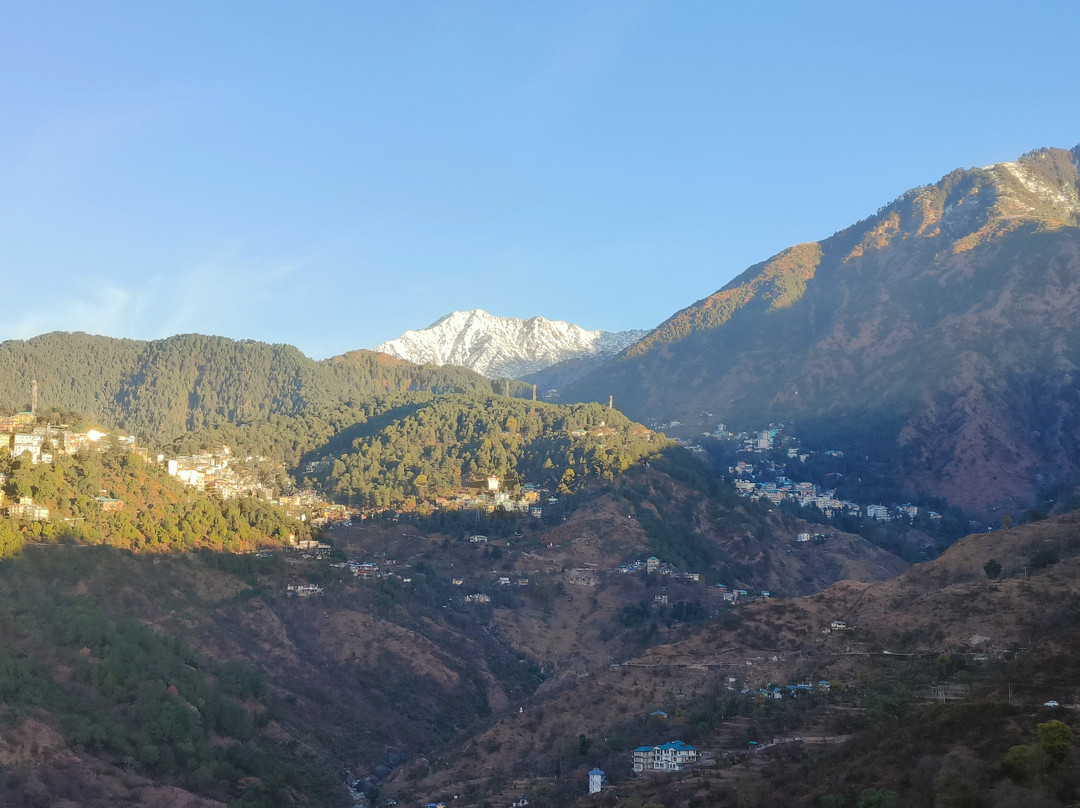 juSTa Birding Dharamshala Resort主图