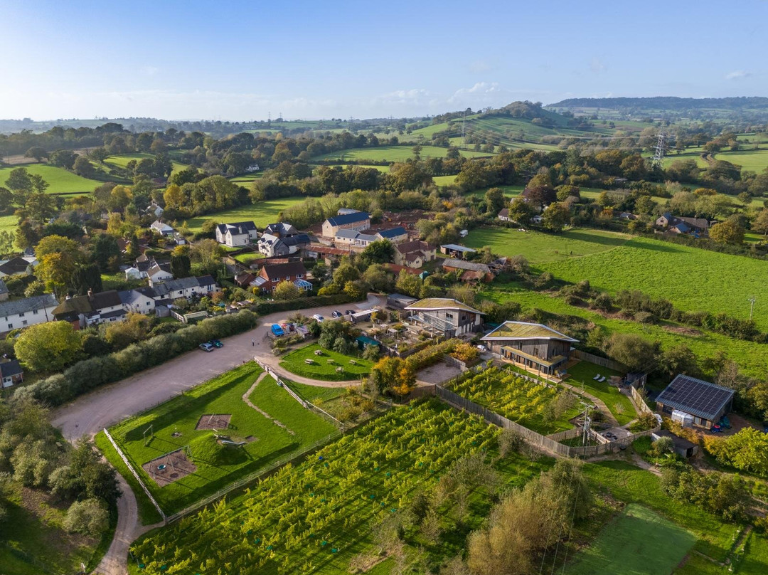 Payhembury餐馆和美食-Heron Farm Vineyard