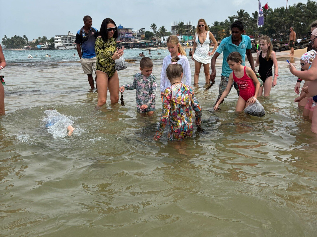 Turtle Beach-希克杜沃必去景点