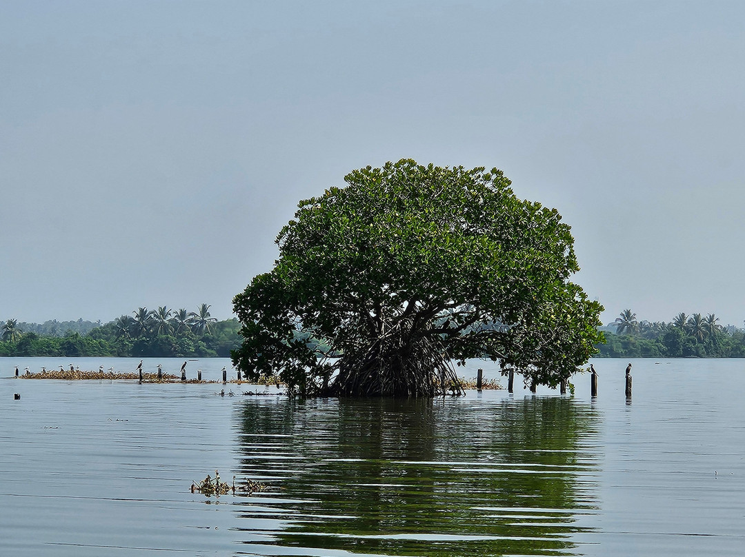 Munnar Holidays-慕那尔必去景点