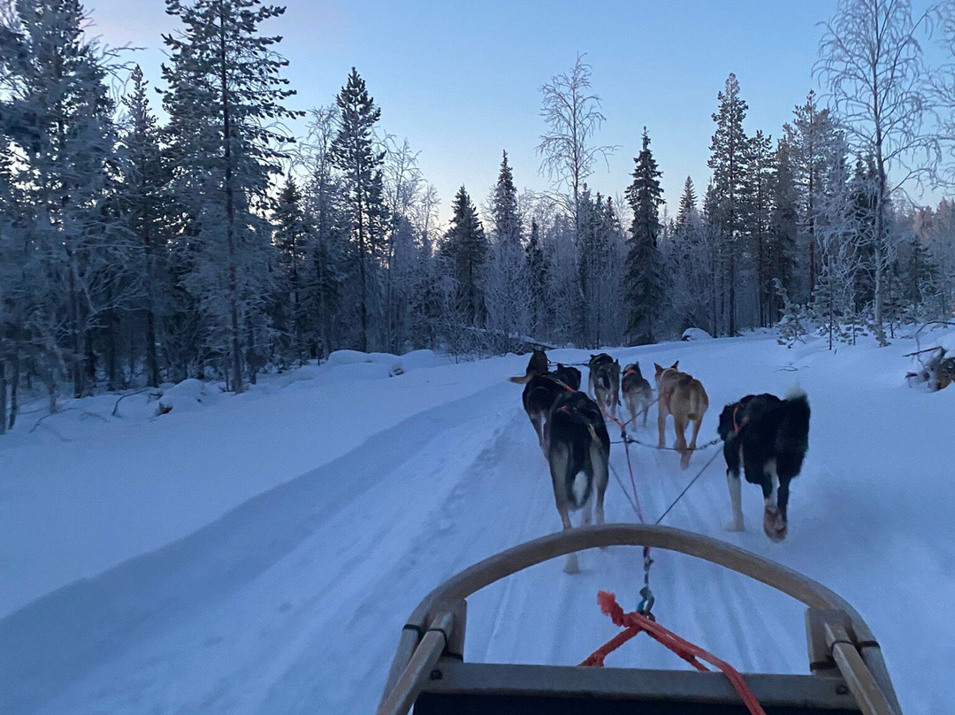 Pajala Huskies景点图片