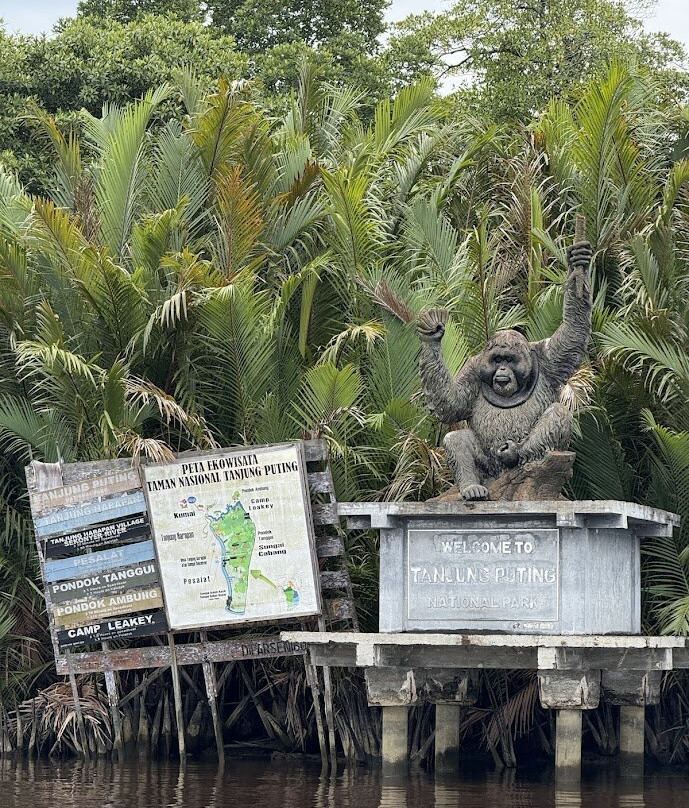 Asia Horizon-Pangkalan Bun必去景点