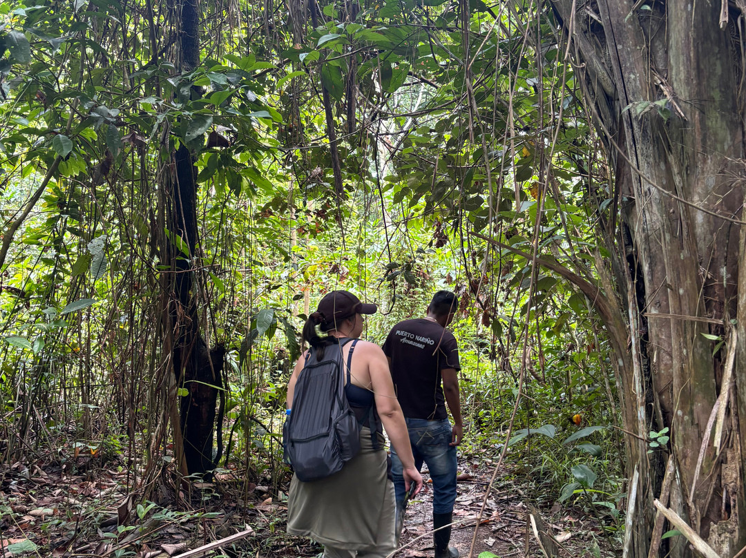 Amaselva Tours - Colombia Amazon景点图片