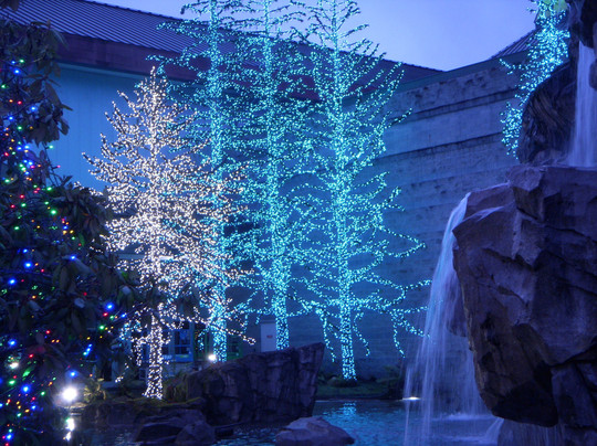 图拉利普度假酒店主图