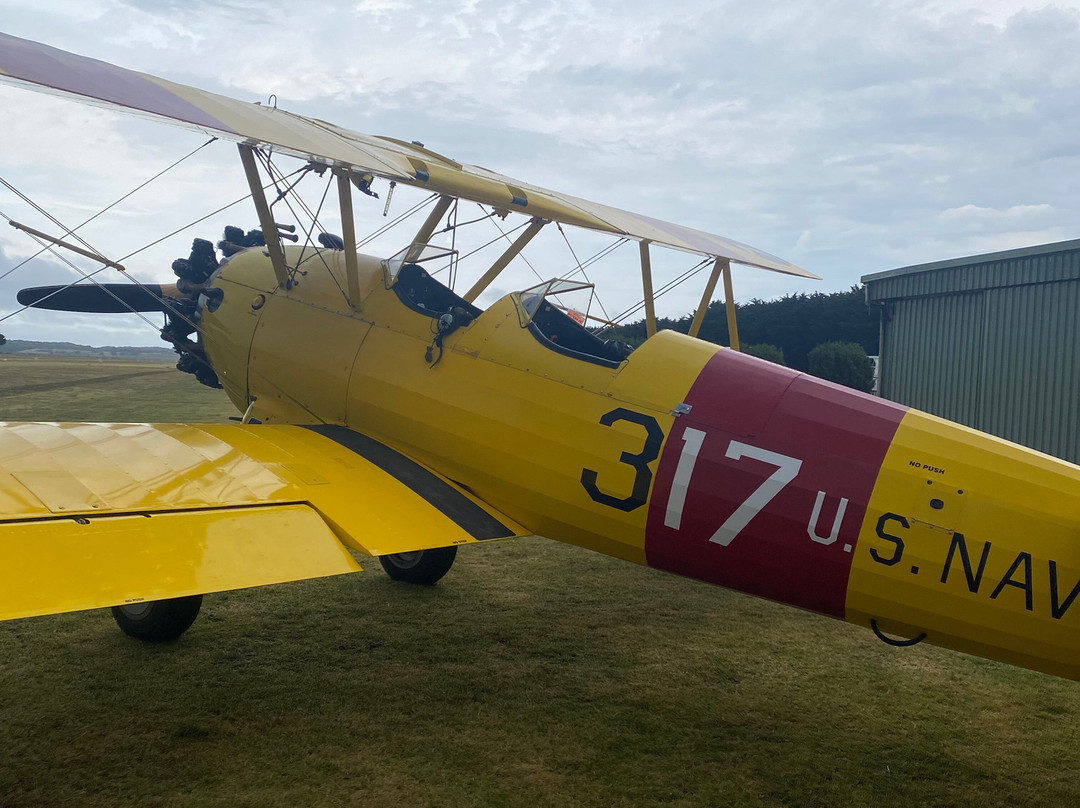 Tiger Moth World-托基必去景点