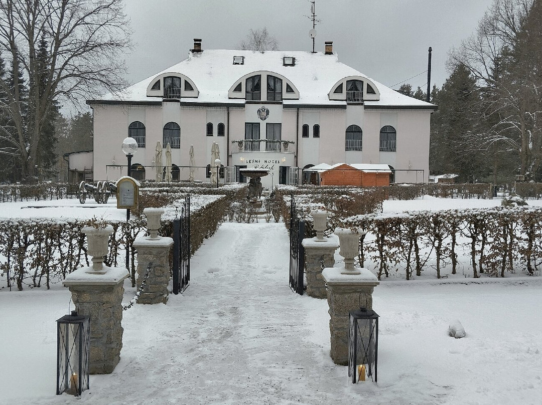 Forest Hotel Perslak主图