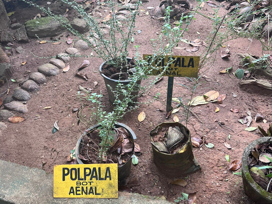 Susantha Spice and Herbal Garden-Hingula必去景点
