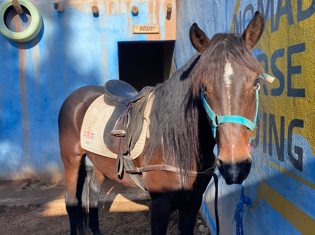 Nomad Horse Riding-阿伊特·本·哈杜筑垒村必去景点
