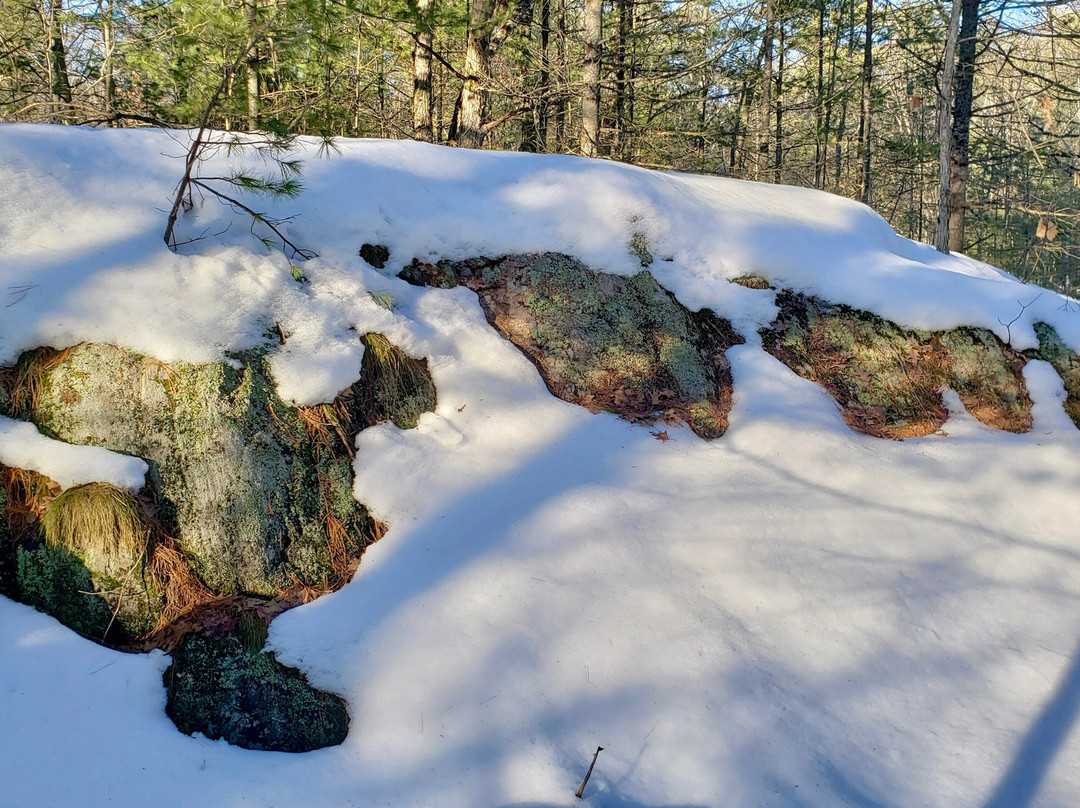 Kahshe Barrens Trail景点图片