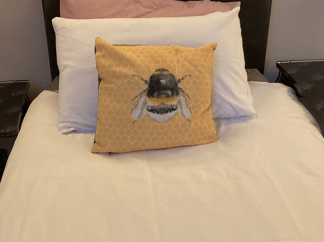 Toadhall Rooms主图