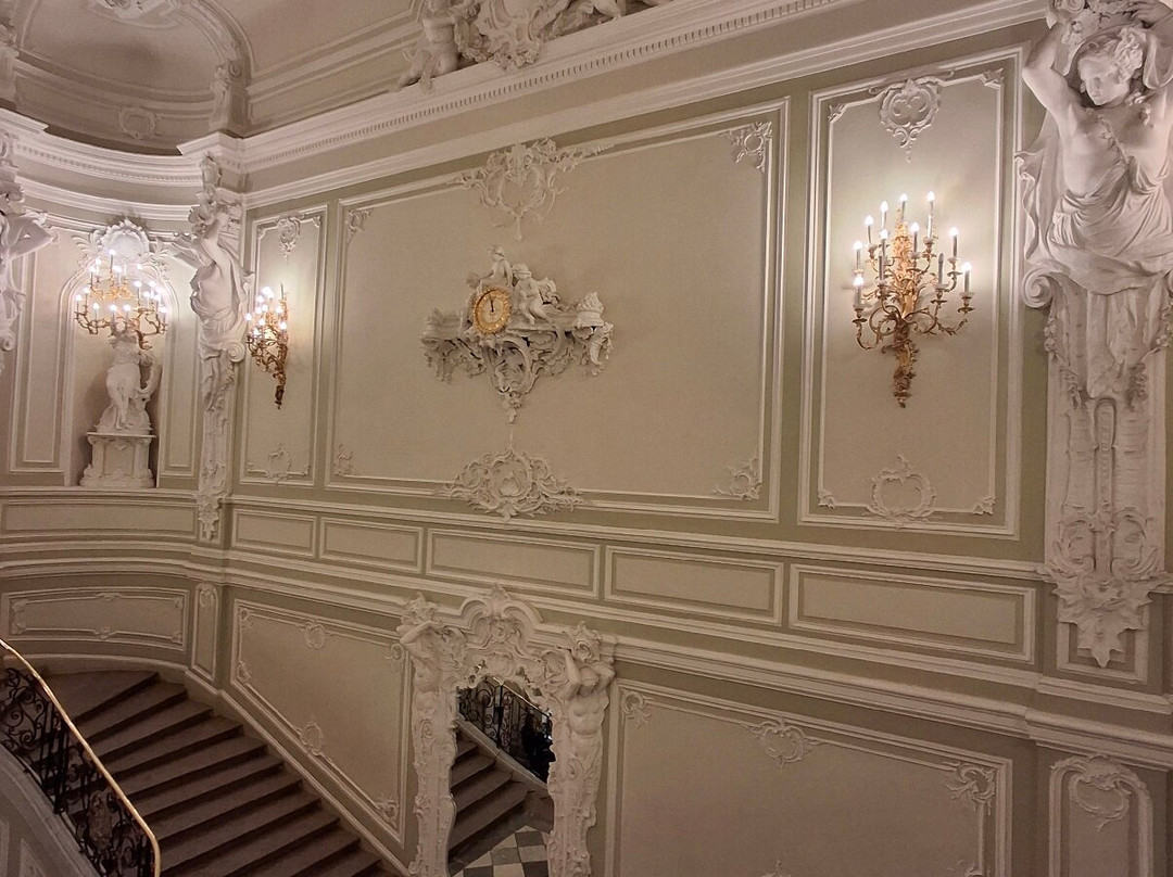 Beloselskiy-Belozerskiy Palace景点图片