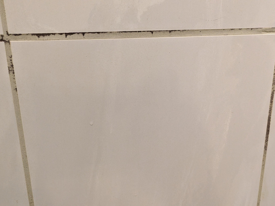 维达利亚海滨酒店主图