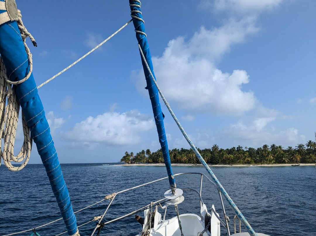 Wild Card Sailing景点图片