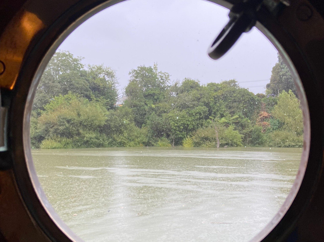 Paddle Steamer Waimarie-旺加努伊必去景点