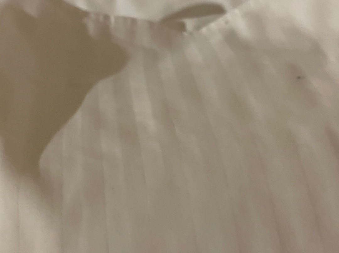 Best Western Plus Salmiya主图