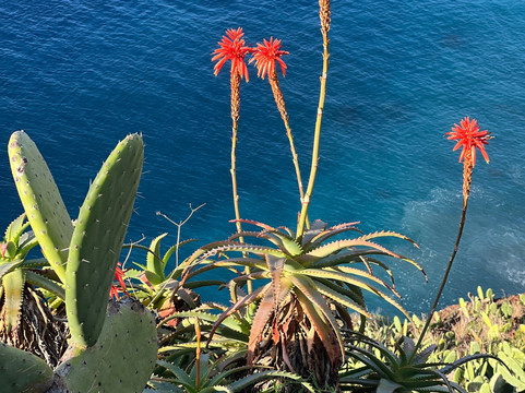 Just Go Tours-沙尔必去景点