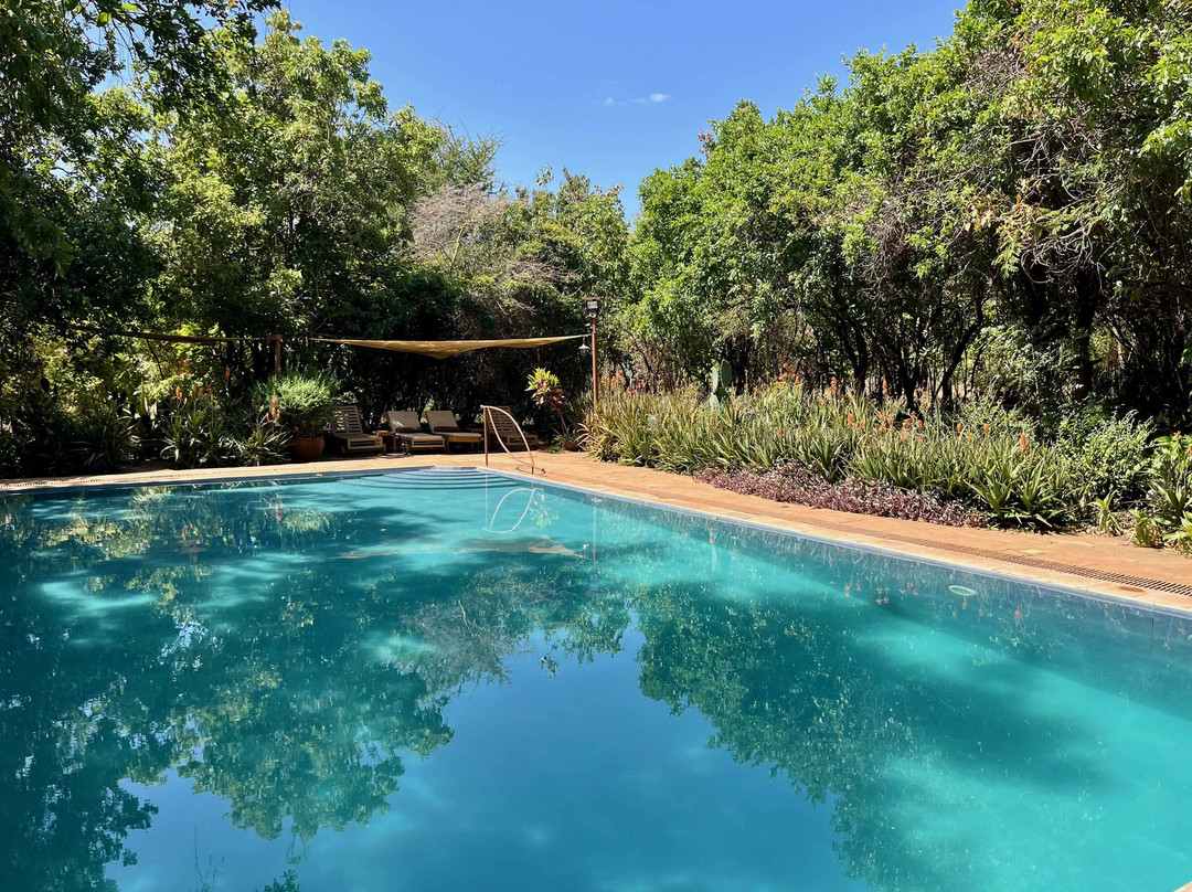 爱威塔野生动物园营地酒店主图