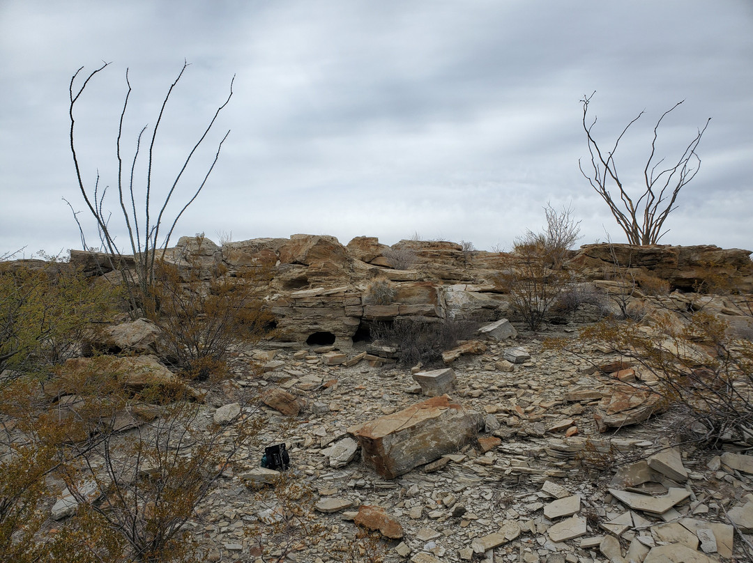 Longhorn Ranch Motel主图