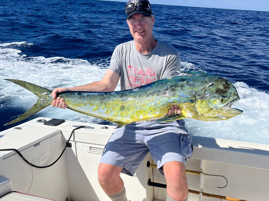 UFO Parasail-卡纳帕利必去景点