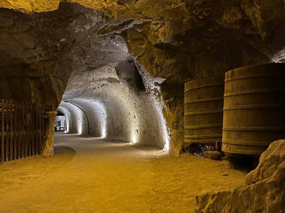 Chateau de Brézé景点图片