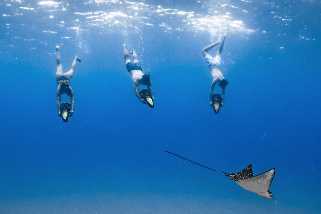 Eco Tours Maui, LLC, dba Eco Sea Scooters Snorkeling Academy