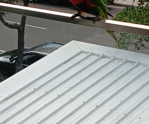 Seahaven Noosa主图