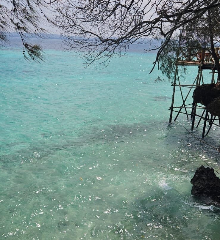 Ali Super Guide Zanzibar-Kilimajuu必去景点