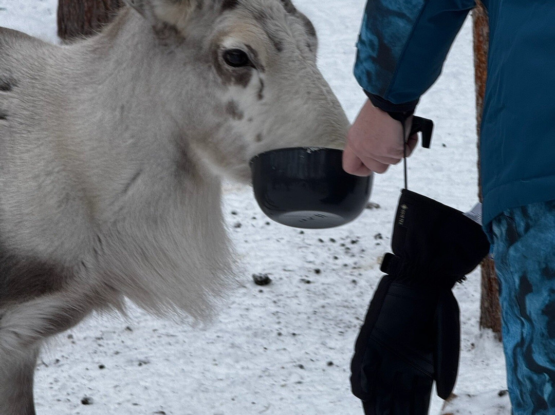 Eanan Levi Tours-Levi必去景点