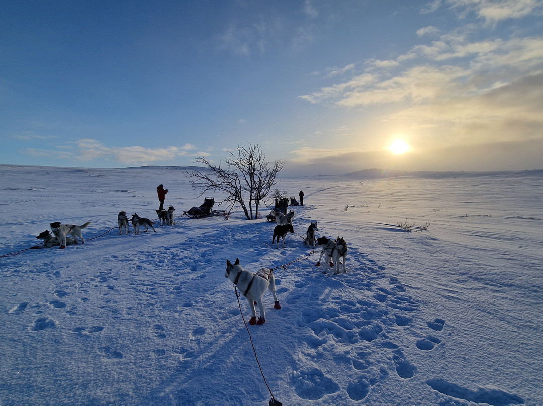 Gargia Husky The True North Experience-阿尔塔必去景点