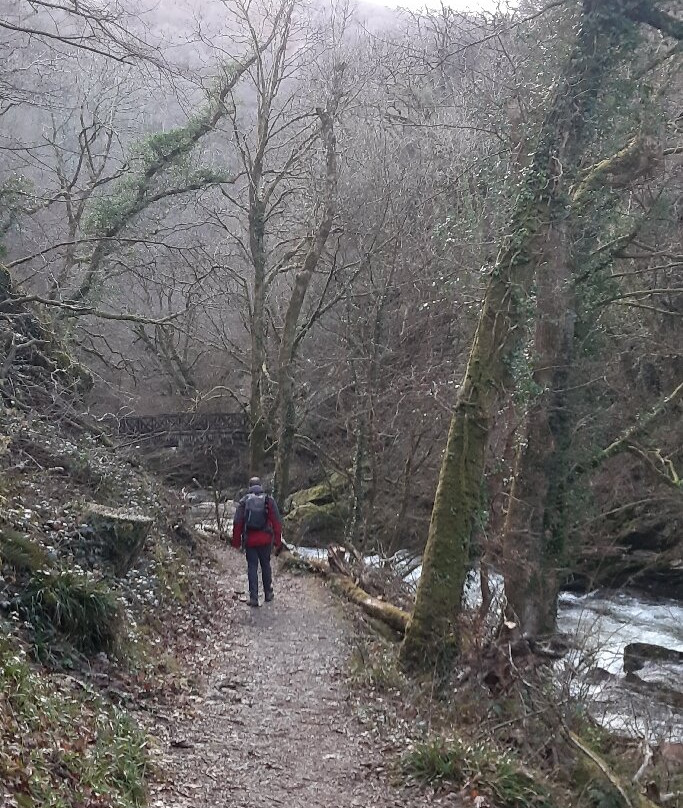 Watersmeet Trail景点图片