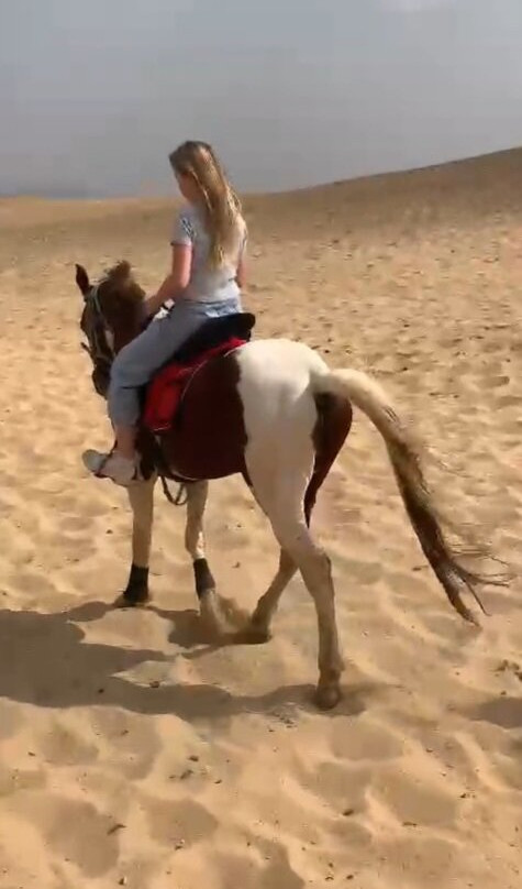 Egypt Fabulous Tours-开罗必去景点