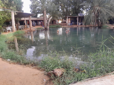 Walymel Travel-杰尔巴岛必去景点