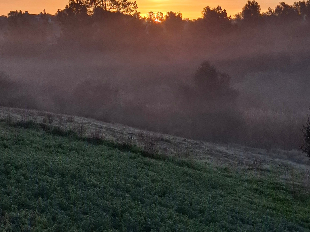 Sleep & Nature Hotel主图