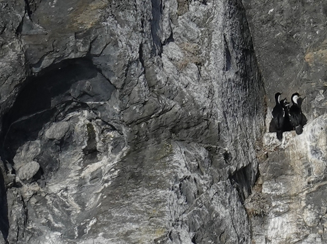 Channel of Last Hope (Ultima Esperanza)-纳塔莱斯港必去景点