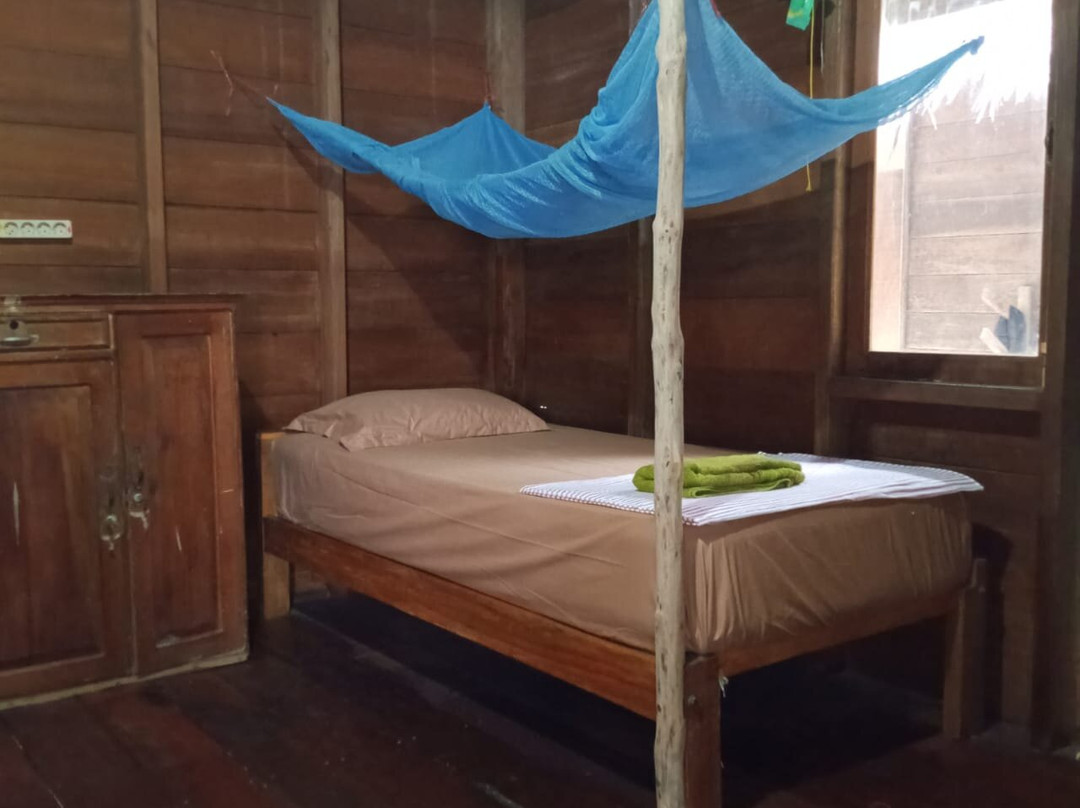 Papajamsurfcamp