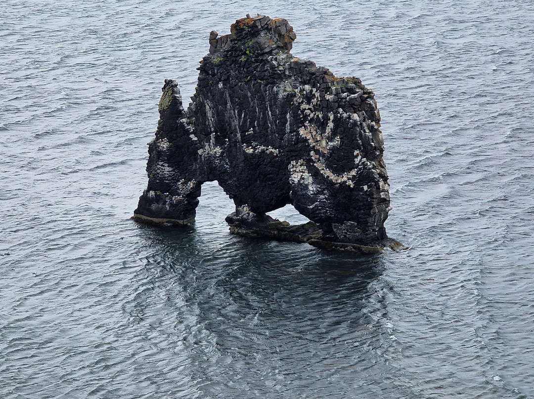 Hvitserkur-Vatnsnes必去景点