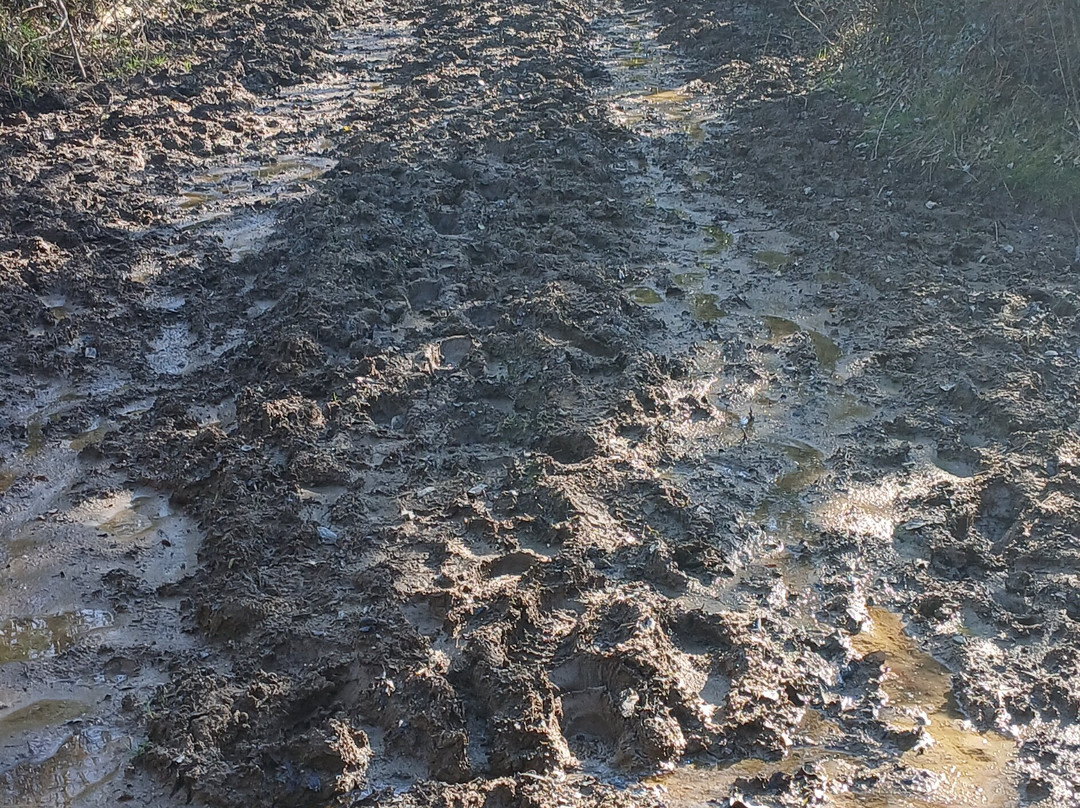 St Newlyn East and Lappa Valley Circular Walk-St Newlyn East必去景点