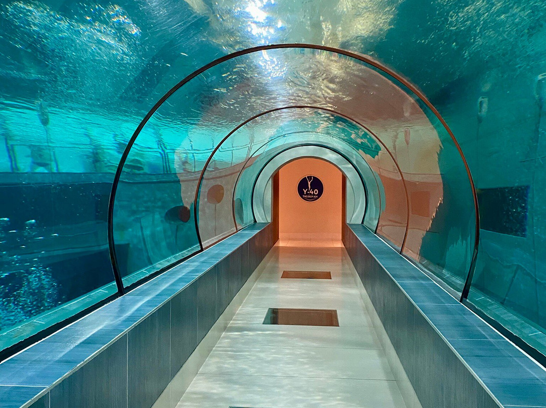 Y-40 The Deep Joy景点图片