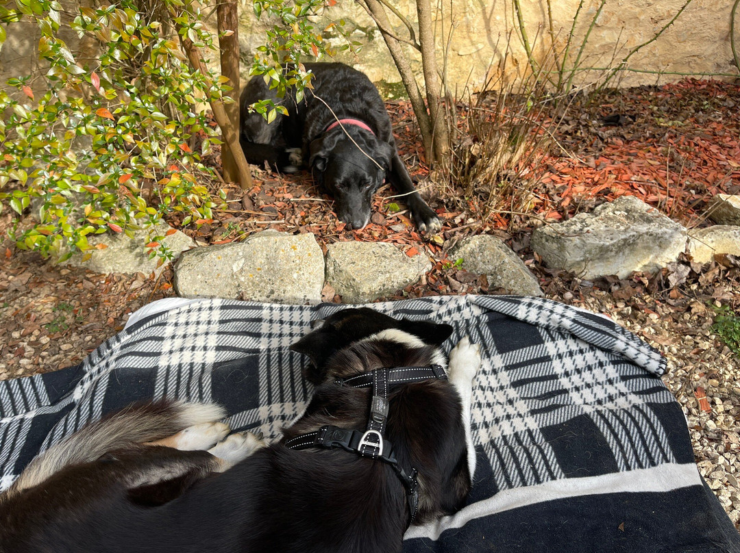 Centre Equestre Du Passe-Temps主图