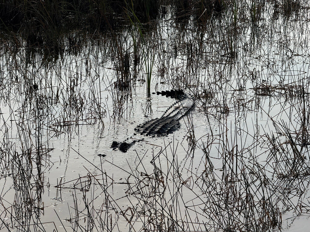 Everglades Airboat Excursions-Tamarac必去景点