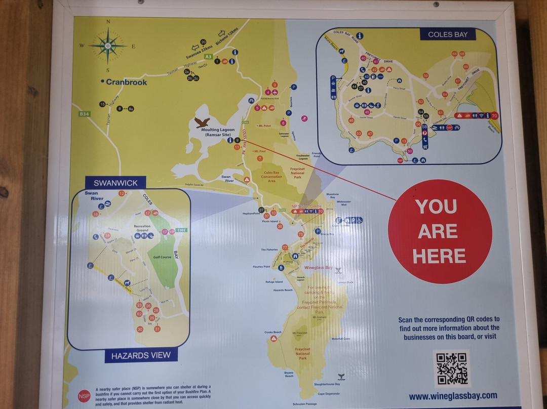 Oyster Bay Tours-科尔斯湾必去景点