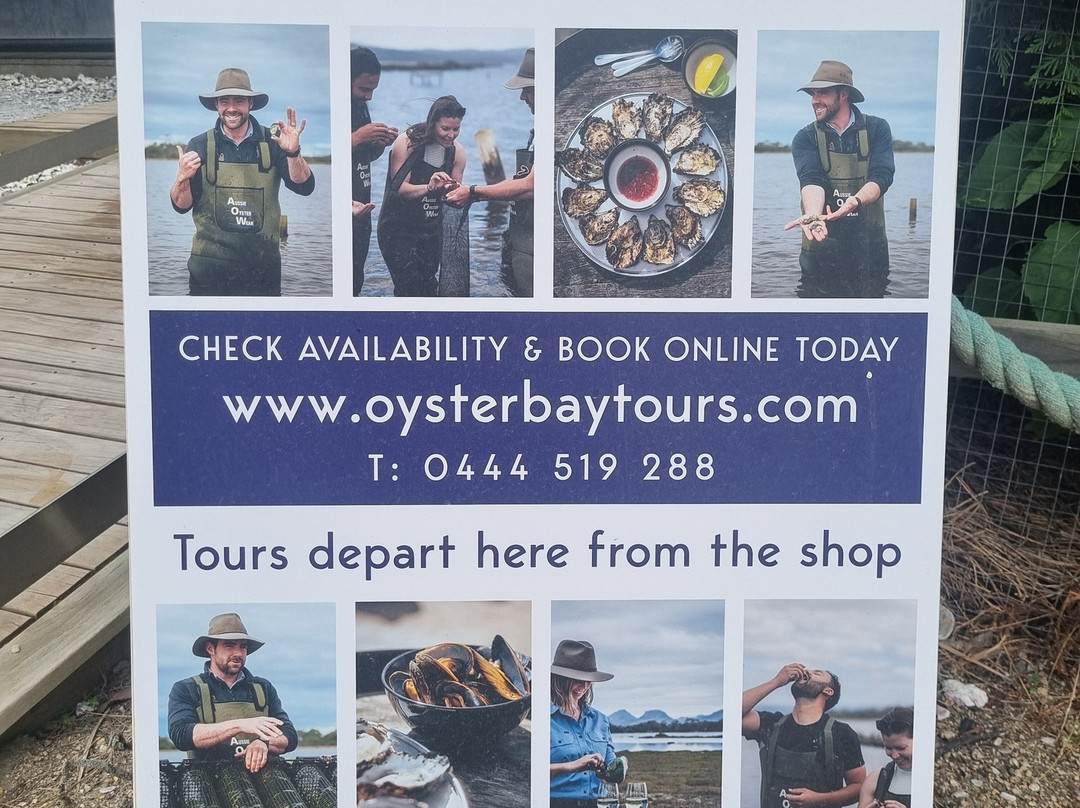 Oyster Bay Tours-科尔斯湾必去景点
