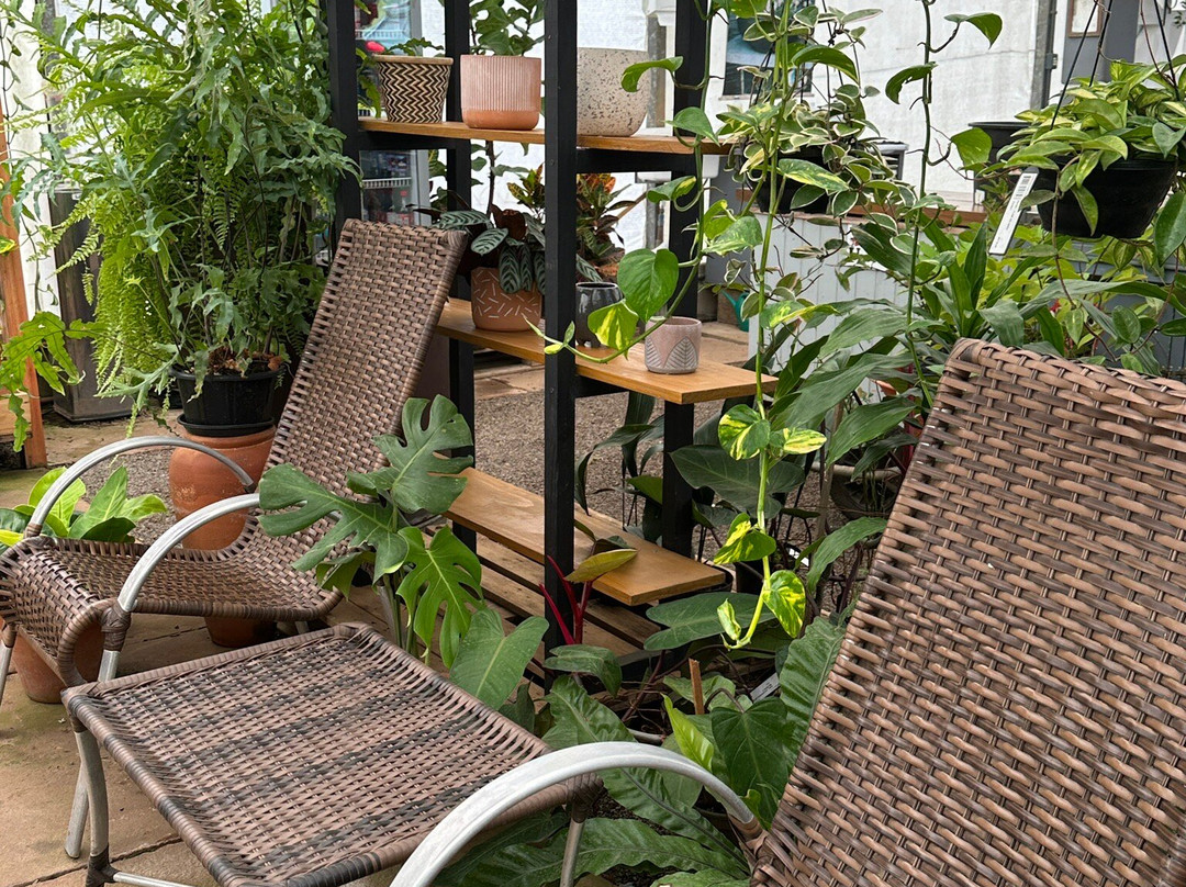 Floricultura Úrsula-Nova Petropolis必去景点