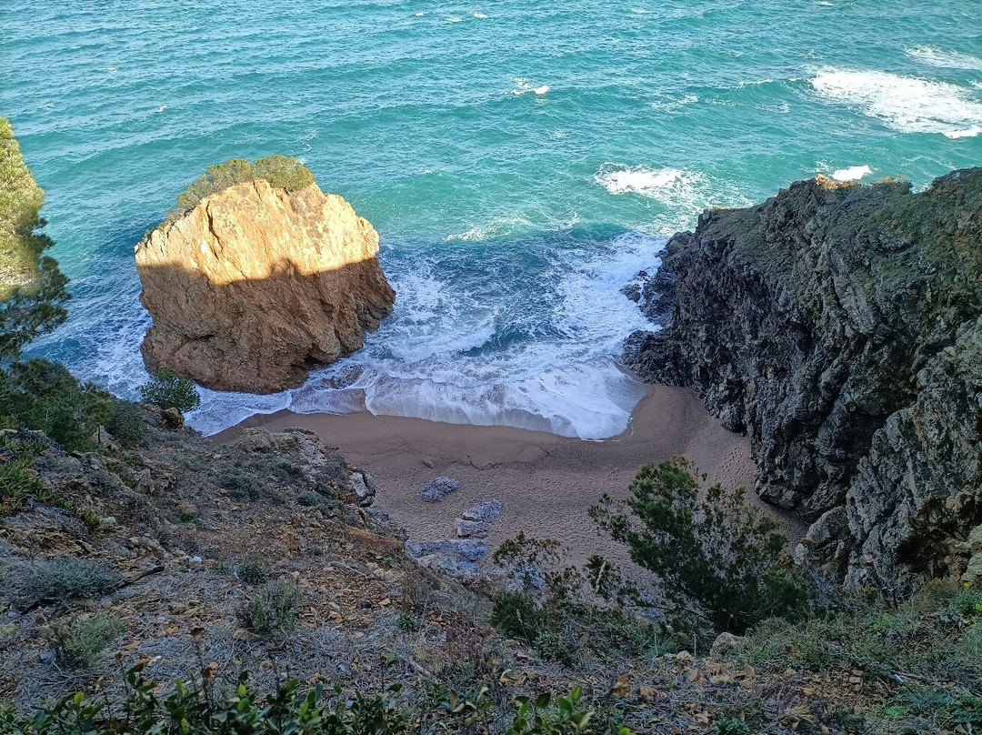 Platja De L'Illa Roja景点图片